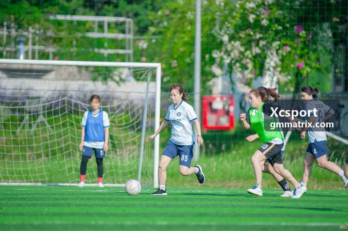 Xcsport 战术分析